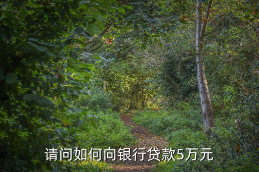請(qǐng)問(wèn)如何向銀行貸款5萬(wàn)元