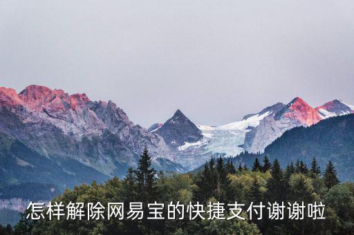 怎樣解除網(wǎng)易寶的快捷支付謝謝啦