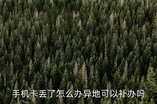 手機卡丟了怎么辦異地可以補辦嗎