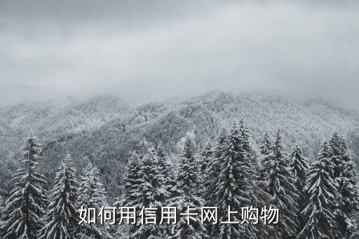 信用卡超市怎么使用說明，如何用信用卡網(wǎng)上購物