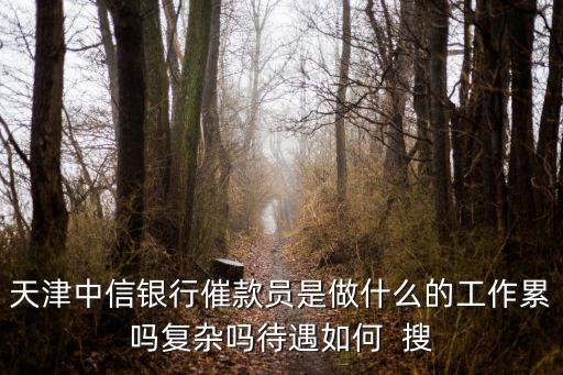 天津中信銀行催款員是做什么的工作累嗎復(fù)雜嗎待遇如何  搜