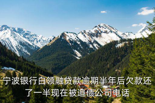 寧波銀行白領(lǐng)融貸款逾期半年后欠款還了一半現(xiàn)在被追債公司電話