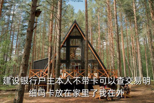 建設(shè)銀行戶主本人不帶卡可以查交易明細(xì)嗎卡放在家里了我在外