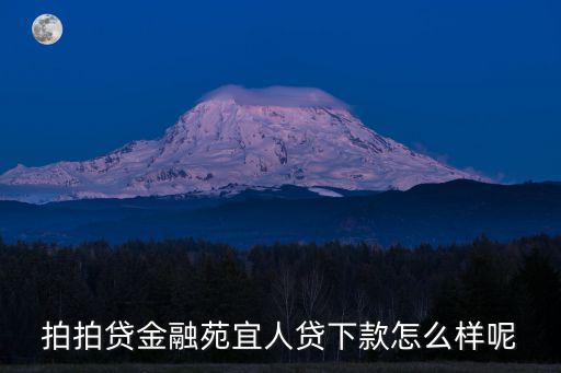 拍拍貸金融苑宜人貸下款怎么樣呢