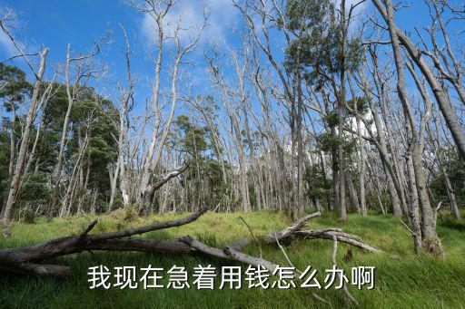 今天下午急用錢怎么辦，現(xiàn)在本人急著用錢怎么辦