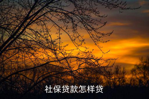 社保貸款怎樣貸