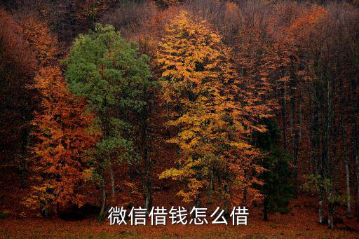 微信借錢(qián)怎么借