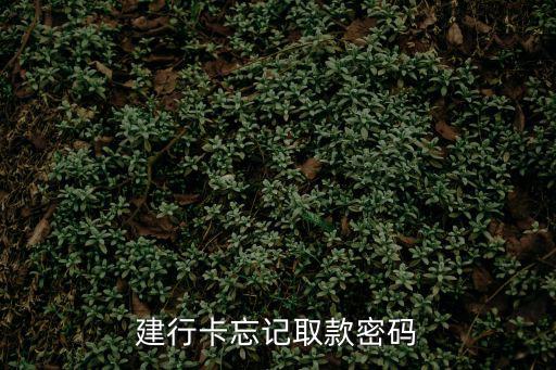 建行卡忘記取款密碼