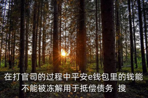 在打官司的過程中平安e錢包里的錢能不能被凍解用于抵償債務(wù)  搜