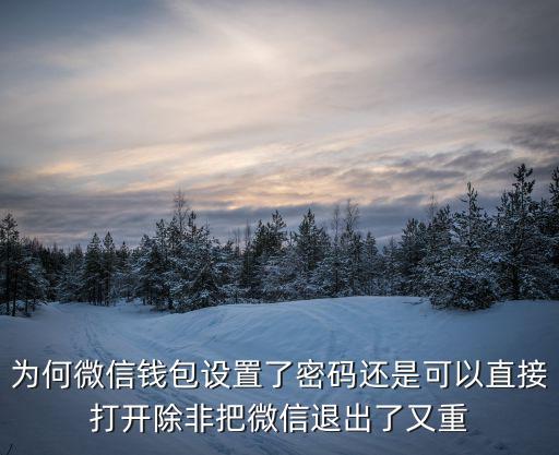 微信錢包自動(dòng)設(shè)置密碼怎么辦，為何微信錢包設(shè)置了密碼還是可以直接打開除非把微信退出了又重