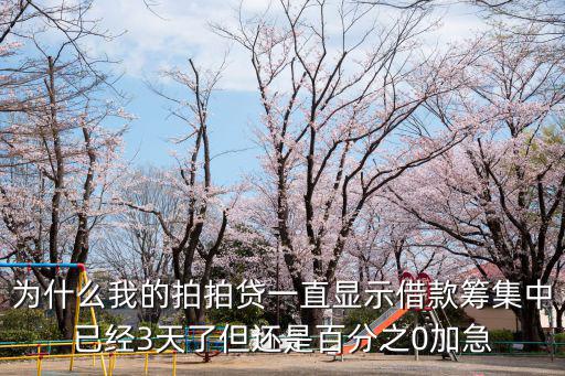 拍拍貸加急有怎么用，我的拍拍貸顯示加急處理提現(xiàn)都快四天了怎么還不下款