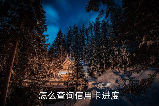 怎么查詢信用卡進度