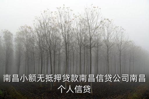 南昌小額無(wú)抵押貸款南昌信貸公司南昌個(gè)人信貸