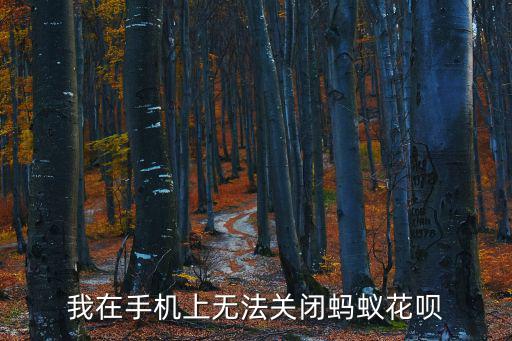 花唄沒有關閉怎么辦，為什么我支付寶螞蟻花唄關閉不成功怎么辦