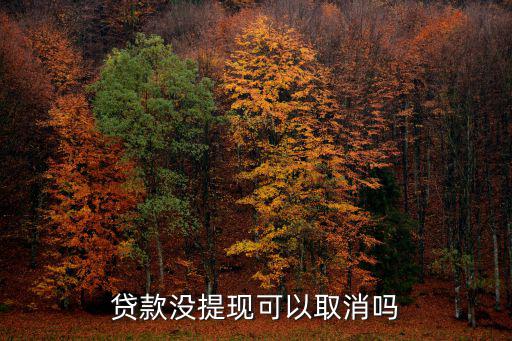 貸款沒提現(xiàn)可以取消嗎