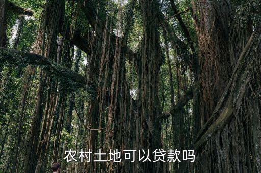 農民用土地怎么貸款嗎，農民土地可以不可以用來在銀行貸款