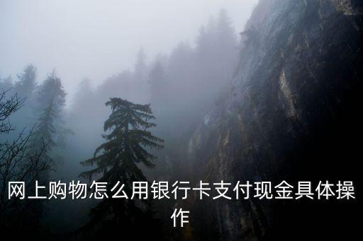 網(wǎng)上購物怎么用銀行卡支付現(xiàn)金具體操作