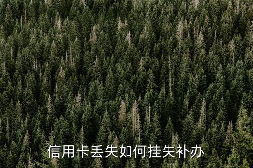信用卡丟失如何掛失補(bǔ)辦