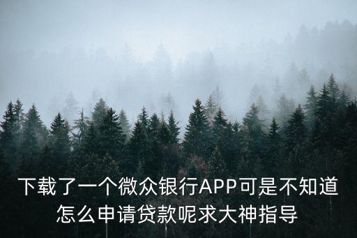 下載了一個微眾銀行APP可是不知道怎么申請貸款呢求大神指導(dǎo)