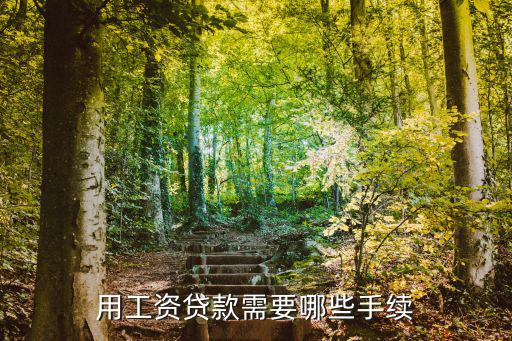 建行工資貸怎么辦理嗎，用工資貸款需要哪些手續(xù)