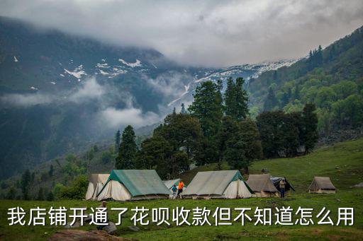 開通花唄收款怎么使用方法，我店鋪開通了花唄收款但不知道怎么用