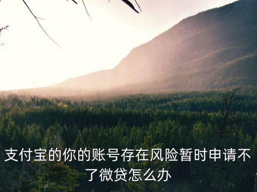 新易貸微貸款注冊不上怎么辦，支付寶的你的賬號存在風(fēng)險暫時申請不了微貸怎么辦