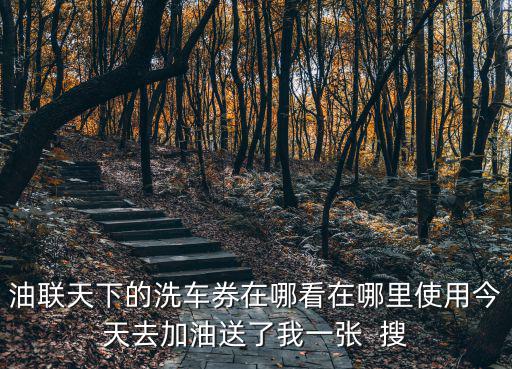 油聯(lián)天下的洗車券在哪看在哪里使用今天去加油送了我一張  搜