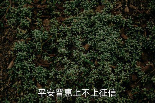 平安普惠上不上征信