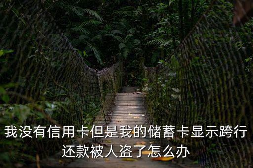 我沒(méi)有信用卡但是我的儲(chǔ)蓄卡顯示跨行還款被人盜了怎么辦