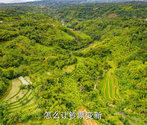 人民幣舊怎么變新，怎么讓鈔票變新