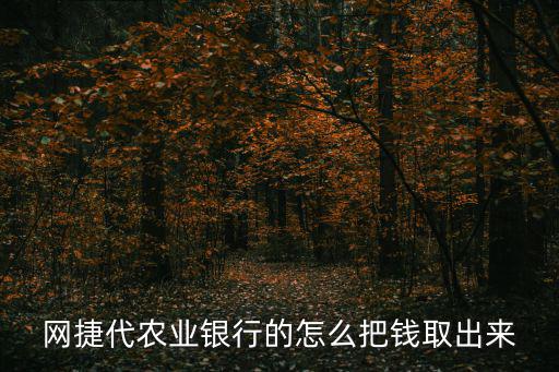 網(wǎng)捷代農(nóng)業(yè)銀行的怎么把錢取出來