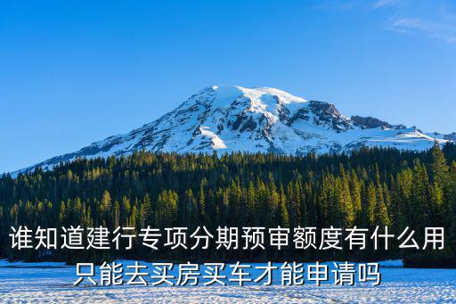 誰知道建行專項分期預(yù)審額度有什么用只能去買房買車才能申請嗎
