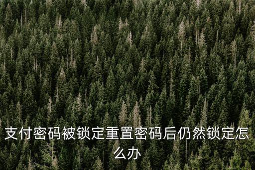 支付密碼被鎖定重置密碼后仍然鎖定怎么辦