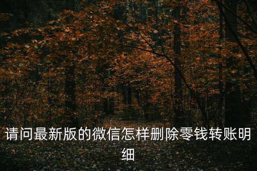 微信錢包刪除轉(zhuǎn)賬記錄怎么刪除嗎，請(qǐng)問最新版的微信怎樣刪除零錢轉(zhuǎn)賬明細(xì)