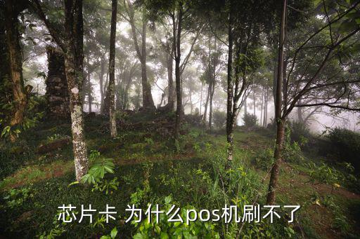 芯片卡 為什么pos機(jī)刷不了