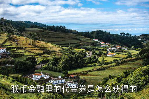 聯(lián)幣金融怎么代理，放款機構是什么為什么我的是招聯(lián)金融