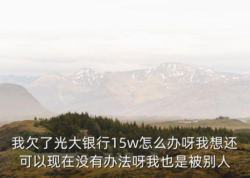 我欠了光大銀行15w怎么辦呀我想還可以現(xiàn)在沒(méi)有辦法呀我也是被別人