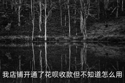 我店鋪開通了花唄收款但不知道怎么用