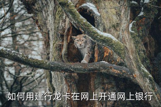 如何用建行龍卡在網(wǎng)上開通網(wǎng)上銀行