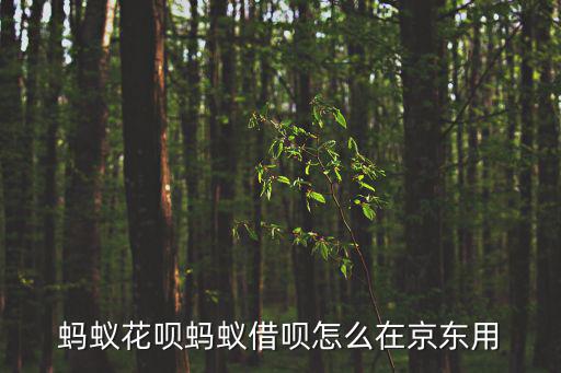 在京東上怎么用花唄，螞蟻花唄怎么使用花唄和京東白條的性質(zhì)一樣嗎