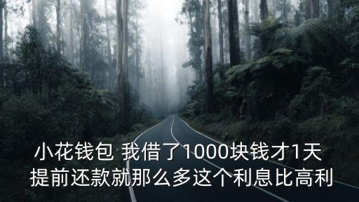 小花錢包 我借了1000塊錢才1天 提前還款就那么多這個利息比高利