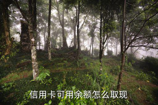 可用額度怎么取現(xiàn)額度，可用額度和取現(xiàn)額度