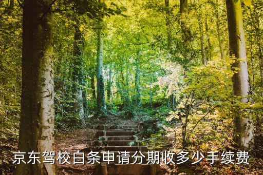京東汽車分期付款手續(xù)費(fèi)怎么算的，京東駕校白條申請(qǐng)分期收多少手續(xù)費(fèi)