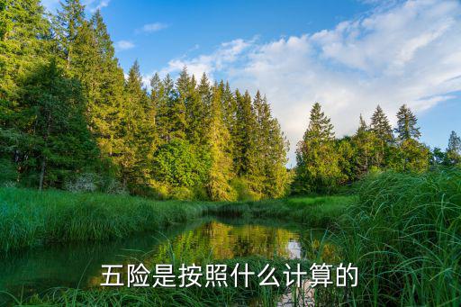 五險(xiǎn)是按照什么計(jì)算的