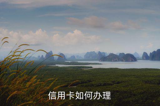 信用卡一般怎么辦理，信用卡怎么辦理