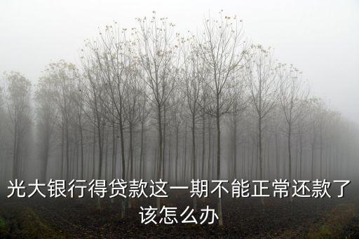 欠光大銀行貸款怎么辦，光大銀行貸款剛逾期一天銀行就要終止合同這個怎么辦