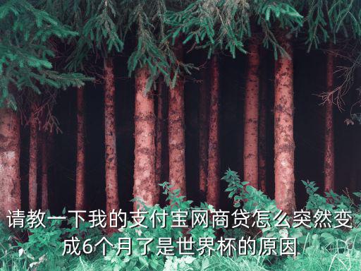 請教一下我的支付寶網(wǎng)商貸怎么突然變成6個月了是世界杯的原因