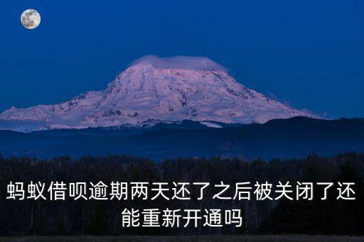 螞蟻借唄逾期兩天還了之后被關(guān)閉了還能重新開通嗎