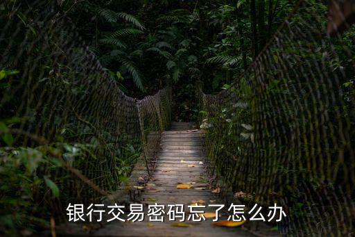 銀行交易密碼忘了怎么辦