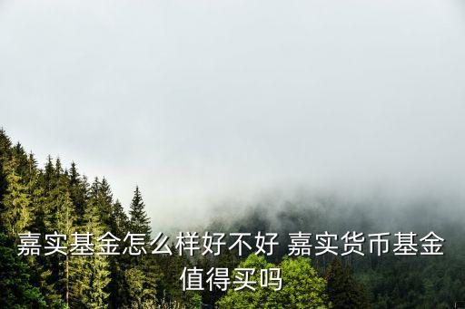 嘉實(shí) 智盈怎么樣，嘉實(shí)基金怎么樣好不好 嘉實(shí)貨幣基金值得買(mǎi)嗎